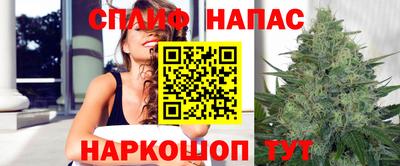 молекула духа Можайск