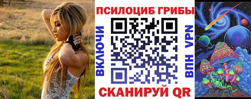 маркетплейс официальный сайт  Дедовск  Псилоцибиновые грибы мухоморы 