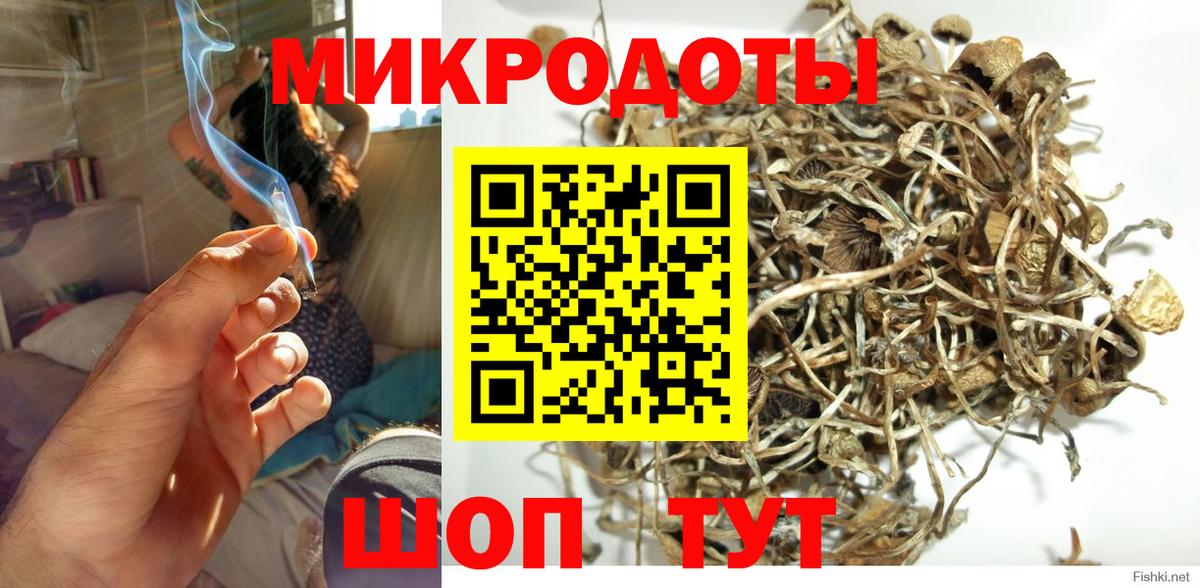 Дедовск  Псилоцибиновые грибы мухоморы  Вход с VPN 